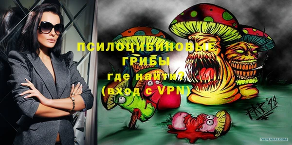 ГАЛЛЮЦИНОГЕННЫЕ ГРИБЫ Кукмор