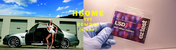 ГАЛЛЮЦИНОГЕННЫЕ ГРИБЫ Кукмор