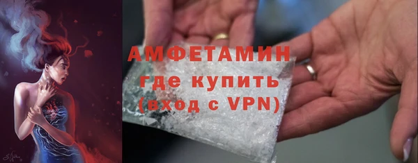 молекула духа Чита