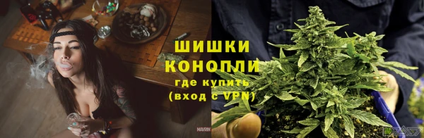альфа пвп Куйбышев