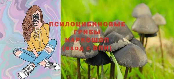 альфа пвп Куйбышев